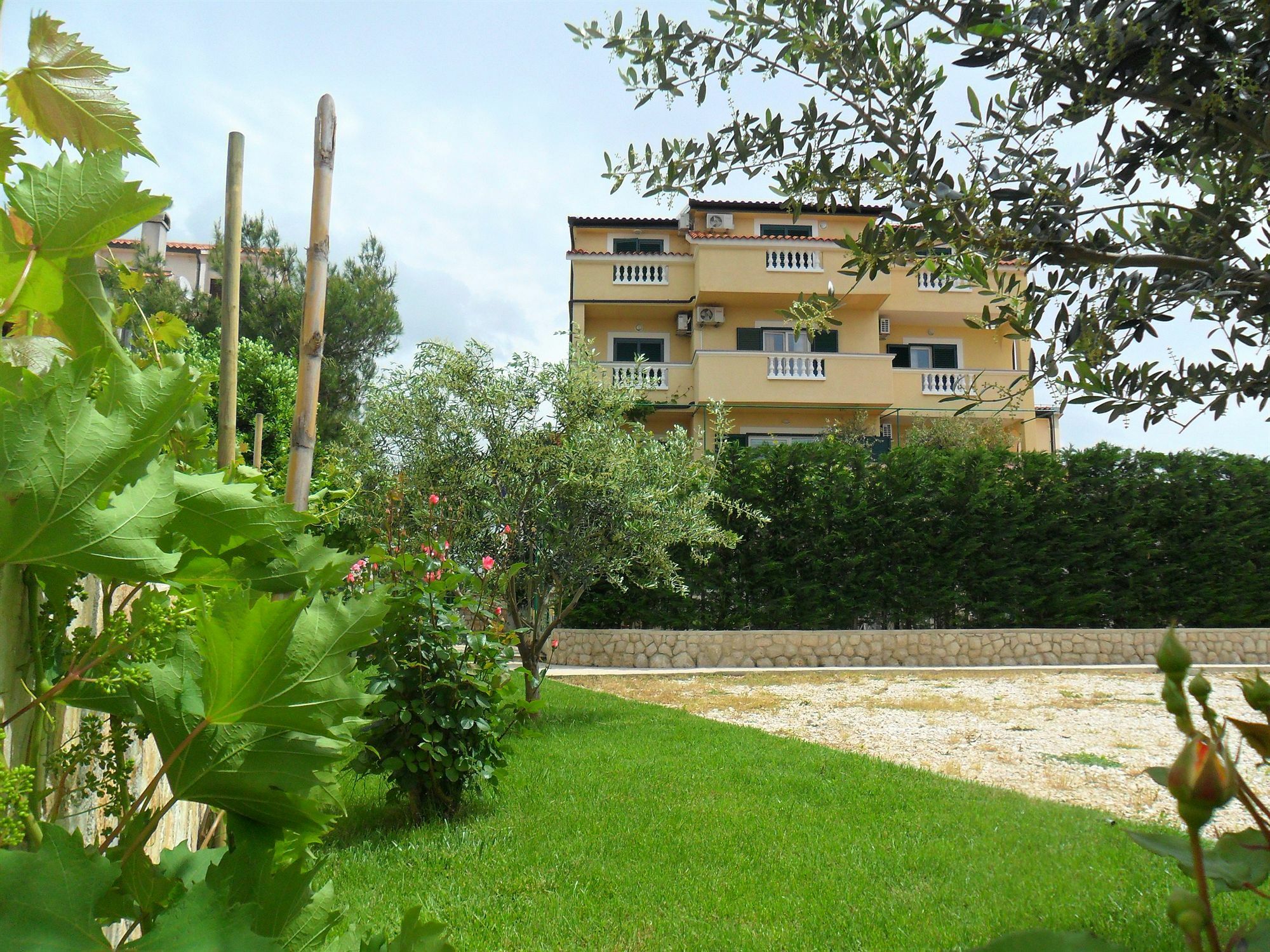 Pansion Villa Bok Novalja Exterior foto